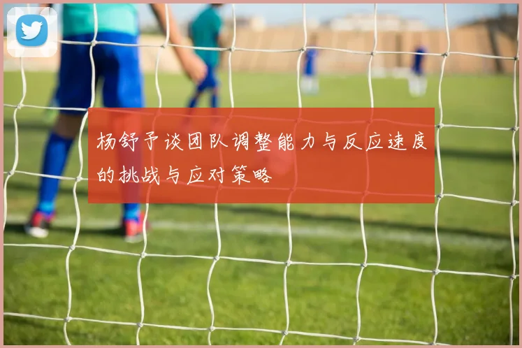 杨舒予谈团队调整能力与反应速度的挑战与应对策略